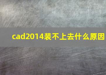 cad2014装不上去什么原因