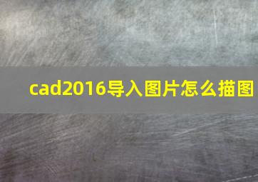 cad2016导入图片怎么描图