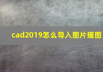 cad2019怎么导入图片描图