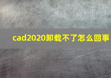 cad2020卸载不了怎么回事