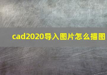 cad2020导入图片怎么描图