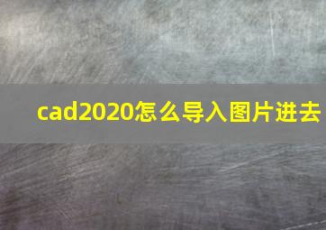 cad2020怎么导入图片进去