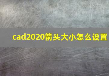 cad2020箭头大小怎么设置