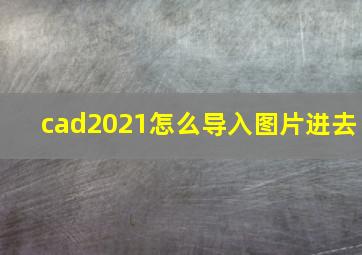 cad2021怎么导入图片进去