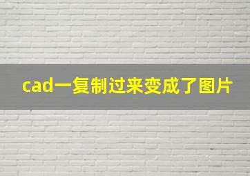 cad一复制过来变成了图片