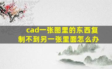 cad一张图里的东西复制不到另一张里面怎么办