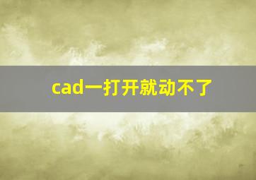 cad一打开就动不了