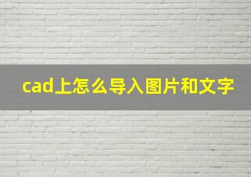 cad上怎么导入图片和文字