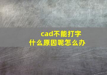 cad不能打字什么原因呢怎么办