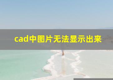 cad中图片无法显示出来