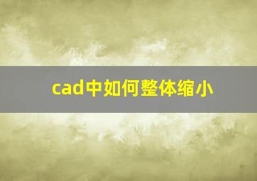 cad中如何整体缩小