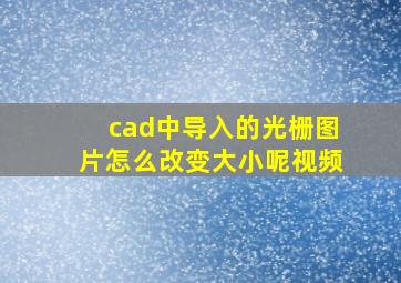 cad中导入的光栅图片怎么改变大小呢视频