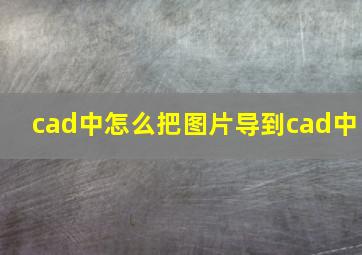 cad中怎么把图片导到cad中