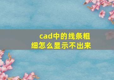 cad中的线条粗细怎么显示不出来