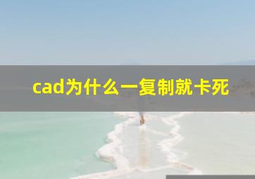 cad为什么一复制就卡死