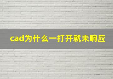 cad为什么一打开就未响应