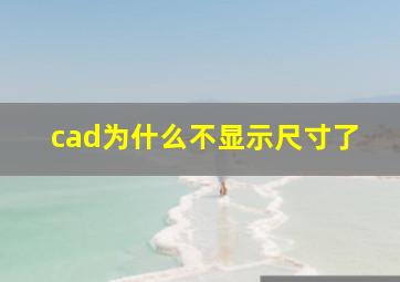 cad为什么不显示尺寸了