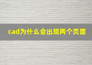 cad为什么会出现两个页面