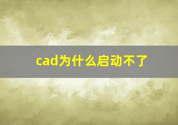 cad为什么启动不了