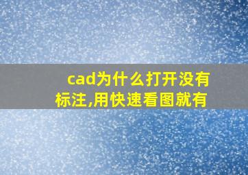 cad为什么打开没有标注,用快速看图就有