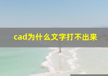 cad为什么文字打不出来