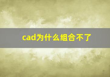 cad为什么组合不了