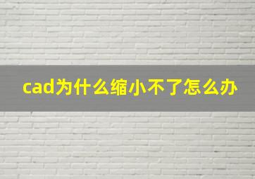 cad为什么缩小不了怎么办