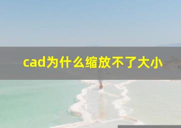 cad为什么缩放不了大小