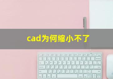 cad为何缩小不了