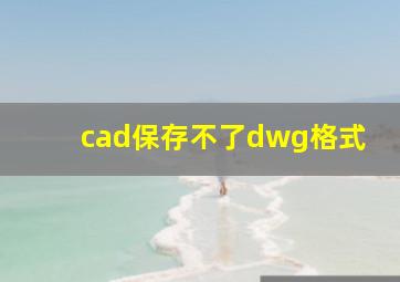 cad保存不了dwg格式