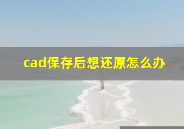 cad保存后想还原怎么办