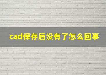 cad保存后没有了怎么回事