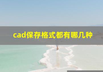 cad保存格式都有哪几种