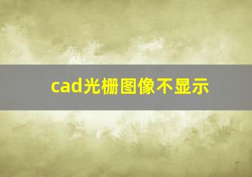 cad光栅图像不显示