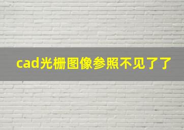 cad光栅图像参照不见了了