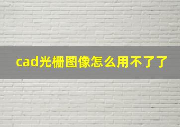 cad光栅图像怎么用不了了