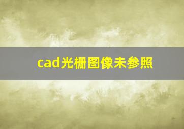 cad光栅图像未参照