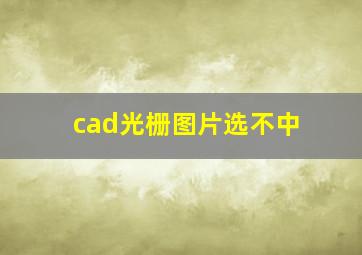 cad光栅图片选不中