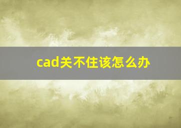 cad关不住该怎么办