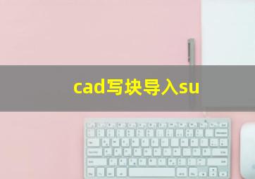 cad写块导入su