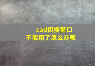 cad切换窗口不能用了怎么办呢