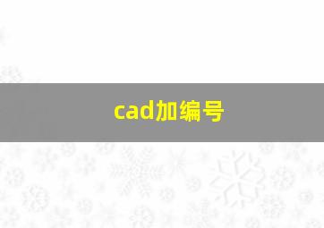 cad加编号