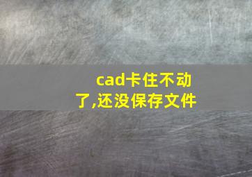 cad卡住不动了,还没保存文件