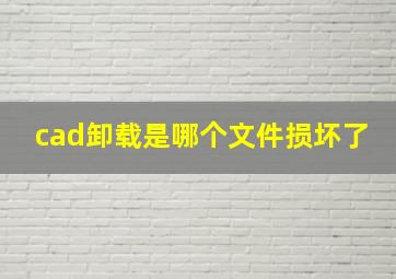 cad卸载是哪个文件损坏了