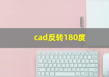 cad反转180度