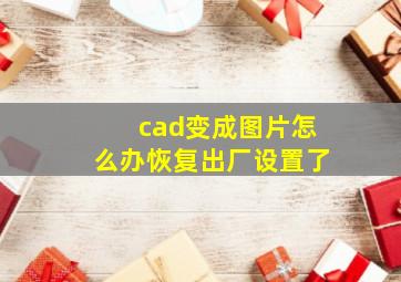 cad变成图片怎么办恢复出厂设置了