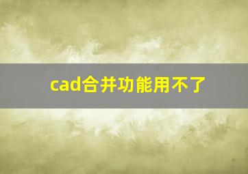 cad合并功能用不了