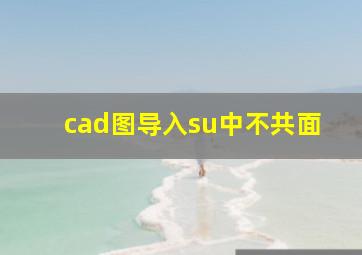 cad图导入su中不共面