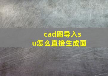 cad图导入su怎么直接生成面