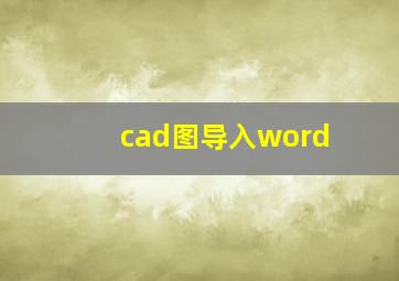 cad图导入word